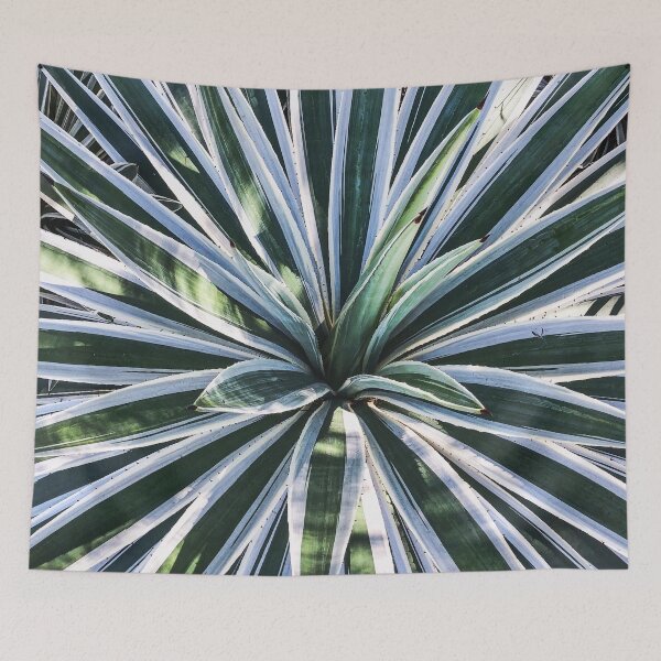 Item preview, Yucca Succulent Plant  designed and sold by Avila Loomis.