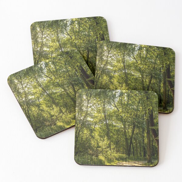 Item preview, Woodland cathedral in Clive, IA USA designed and sold by Joel Bader.