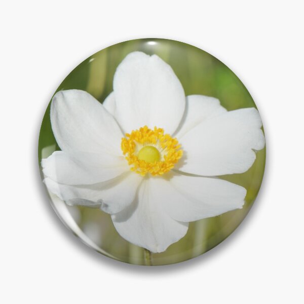 Item preview, Meadow of Japanese Anemone  designed and sold by Ollivrosa.