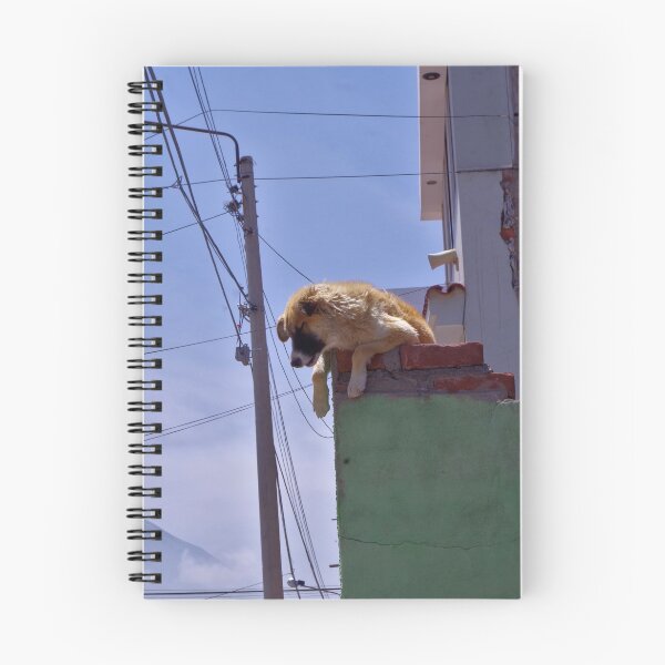 Item preview, Dog on the roof designed and sold by Treemonk.