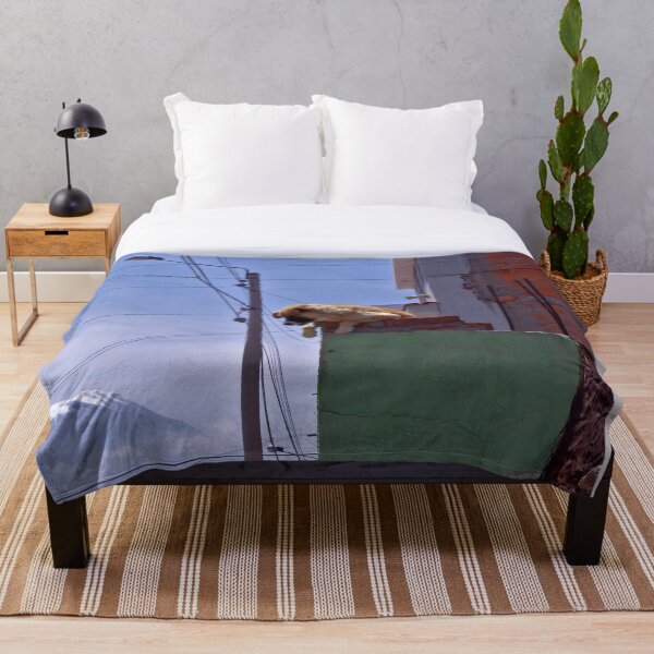 Item preview, Perro en el techo designed and sold by Treemonk.