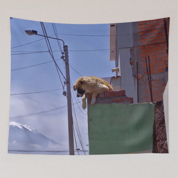 Item preview, Dog on the roof designed and sold by Treemonk.