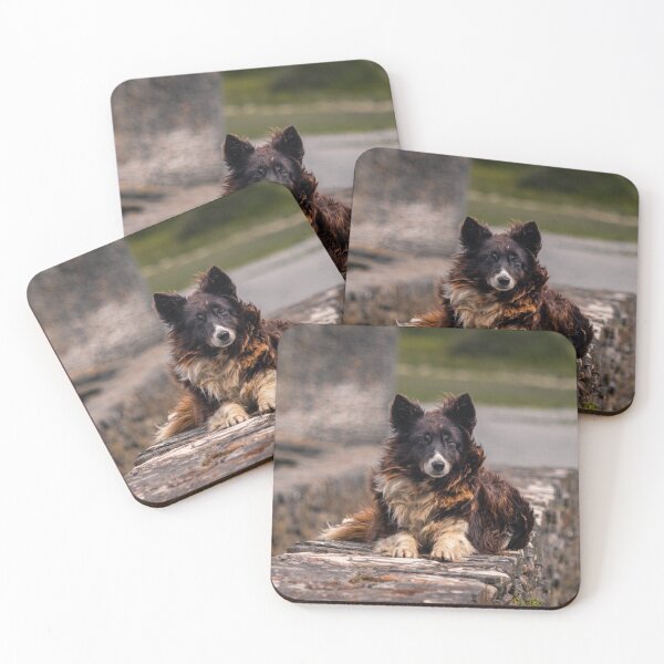 Item preview, Dog lying on a wall designed and sold by pjw-pics.