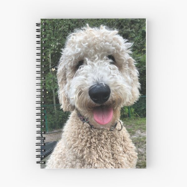 Artikelvorschau, Mary Doodle entworfen und verkauft von BEachHAPPYart.
