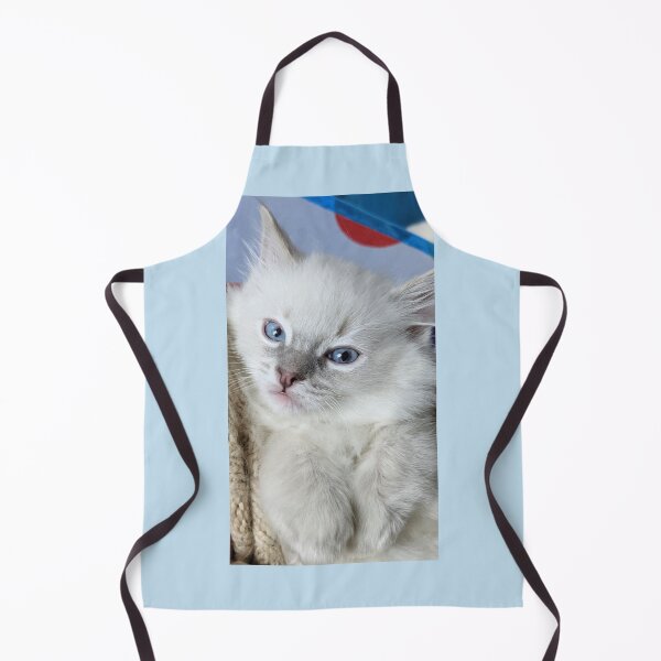 Item preview, Lynx ragdoll kitten designed and sold by Fluffycat2020.