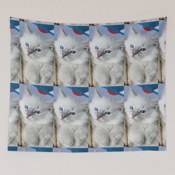 Item preview,  Lynx ragdoll kitten designed and sold by Fluffycat2020.