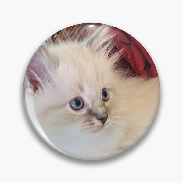 Item preview,  Lynx ragdoll baby cat designed and sold by Fluffycat2020.