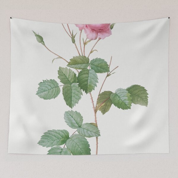 Item preview, Les Roses by Pierre-Joseph Redouté designed and sold by EsotericBotanic.