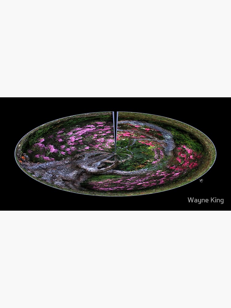 The Fountain of Life by waynedking
