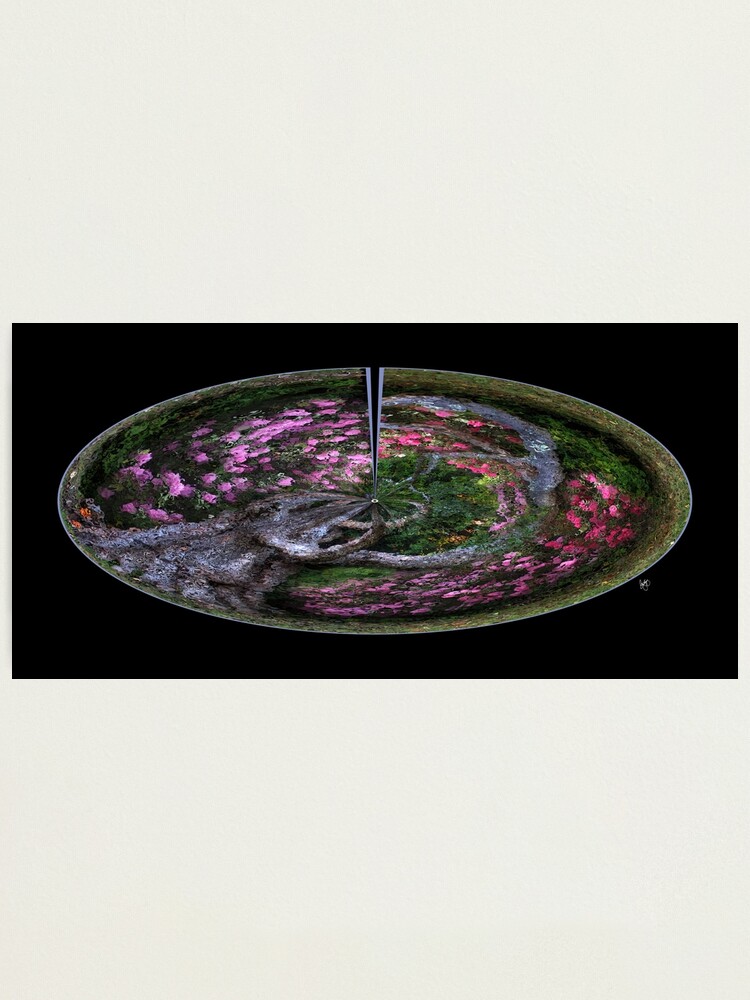 Alternate view of The Fountain of Life Photographic Print