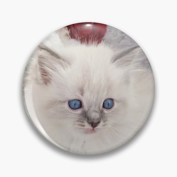 Item preview,  Lynx ragdoll baby cat designed and sold by Fluffycat2020.