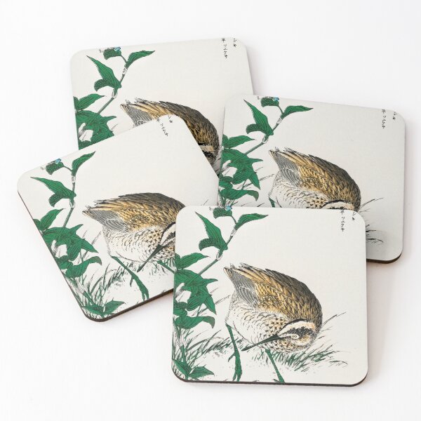 Artikelvorschau, Grünschenkel und Bupleurum Sachalinense Abbildung 41572341080 entworfen und verkauft von Bird-Lore.