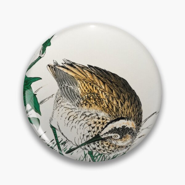 Item preview, greenshank and bupleurum sachalinense illustration 41572341080 designed and sold by Bird-Lore.