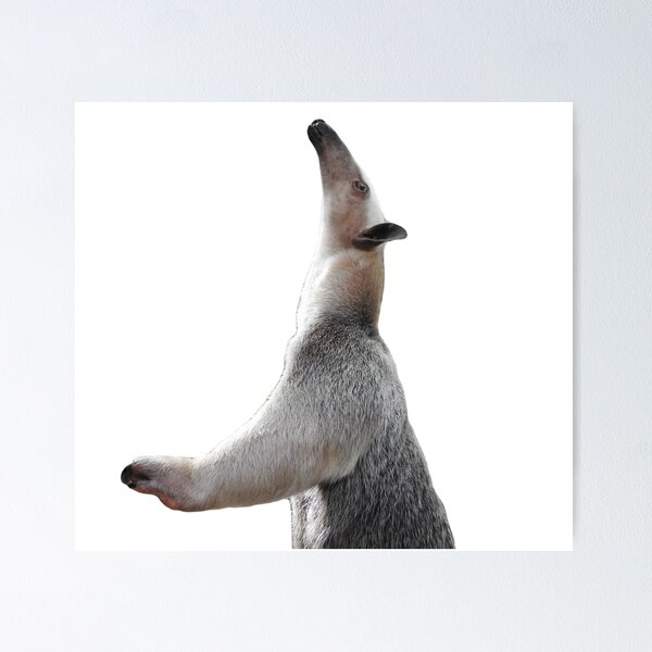 tamandua fodase, T-Pose, By Surreal