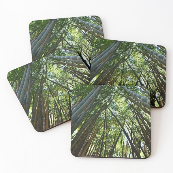 Item preview, tropical forest designed and sold by Click Action.