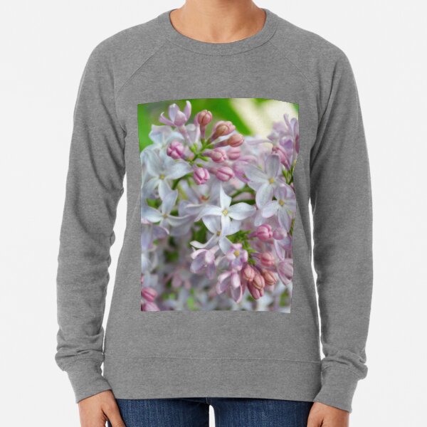 EARLY LILAC Lightweight Sweatshirt
