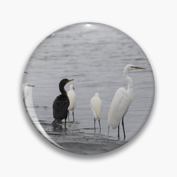 Item preview, Shorebirds Flock Together Birds designed and sold by Jessica Weiss.