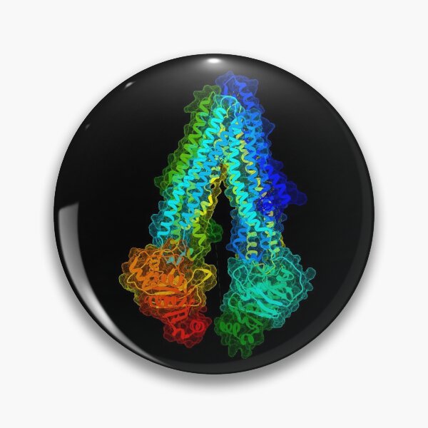 Item preview, P-Glycoprotein designed and sold by 3D Biology.