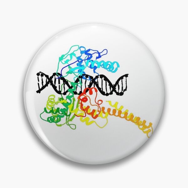 Item preview, Topoisomerase I  designed and sold by 3D Biology.