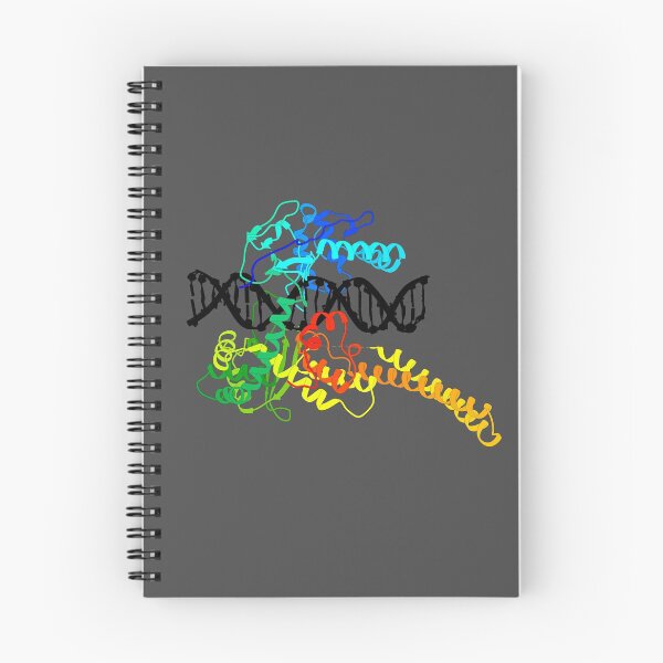 Item preview, Topoisomerase I  designed and sold by 3D Biology.