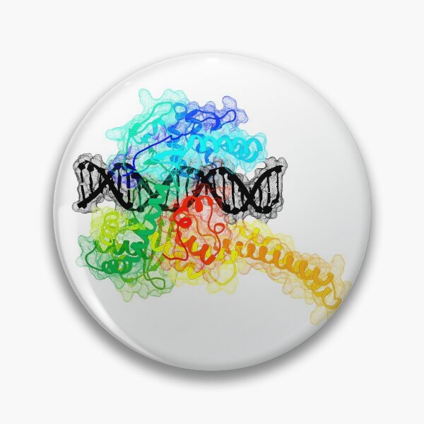 Item preview, Topoisomerase I designed and sold by 3D Biology.