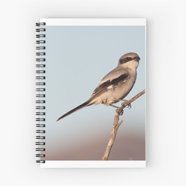 Item preview, Cute Bird Loggerhead Shrike  designed and sold by Jessica Weiss.