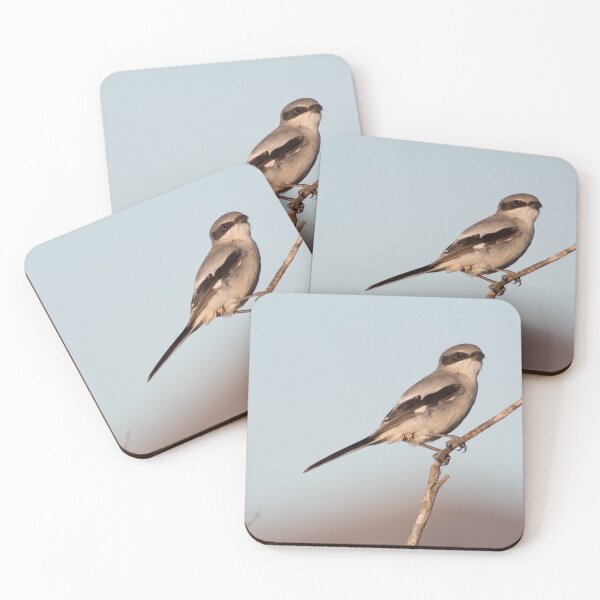 Item preview, Cute Bird Loggerhead Shrike  designed and sold by Jessica Weiss.