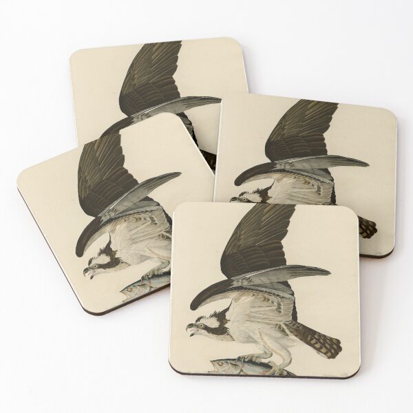 Item preview, 81 Fish Hawk or Osprey designed and sold by Bird-Lore.
