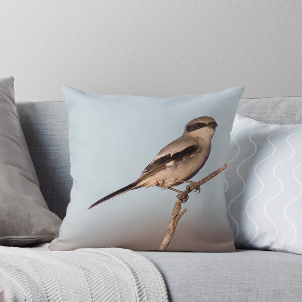 Item preview, Cute Bird Loggerhead Shrike  designed and sold by Jessica Weiss.