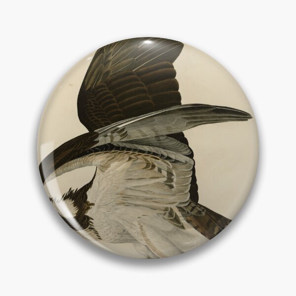 Item preview, 81 Fish Hawk or Osprey designed and sold by Bird-Lore.