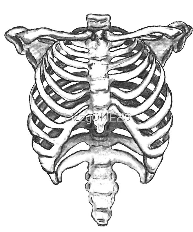 Ribcage: Gifts & Merchandise | Redbubble