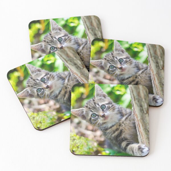 Item preview, Cat designed and sold by Eva N.