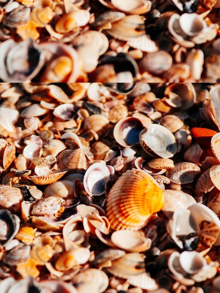 Thumbnail 5 of 5, iPhone Case, Seashell marine designed and sold by Rwadkar.