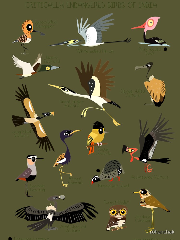 Endemic Birds of India T-shirts - Bird Count India