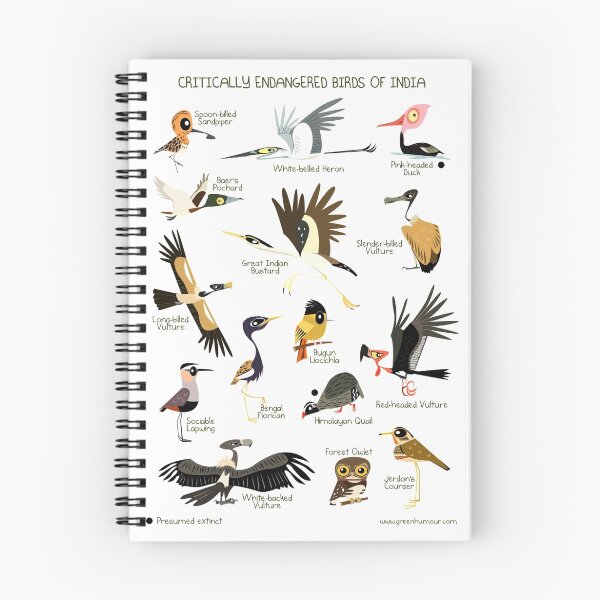 Item preview, Critically Endangered Birds of India designed and sold by Green Humour.