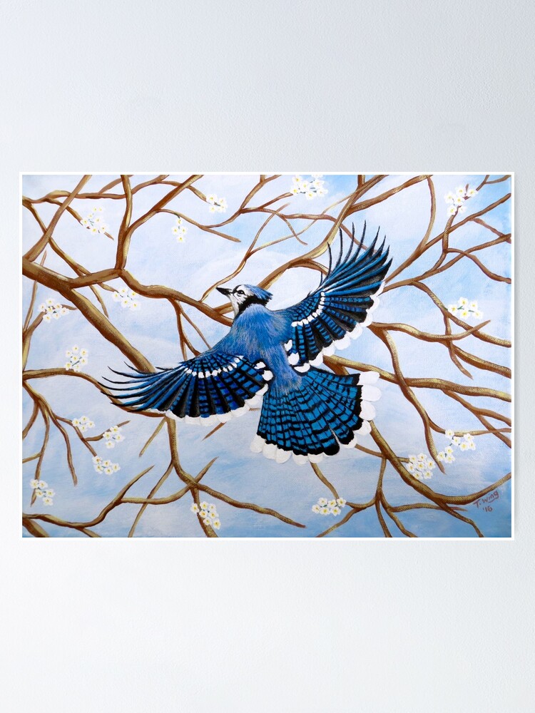 Soaring Blue Jay by Teresa Wing