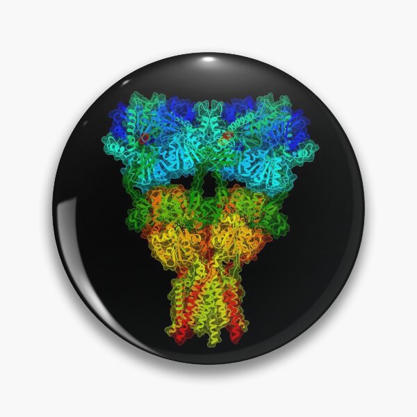 Item preview, AMPA Receptor designed and sold by 3D Biology.