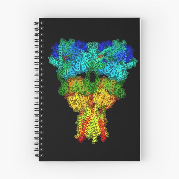 Item preview, AMPA Receptor designed and sold by 3D Biology.