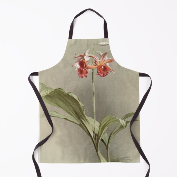 Item preview, Reichenbachia: Orchids Illustrated and Described designed and sold by EsotericBotanic.
