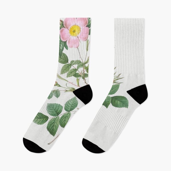 Item preview, Les Roses by Pierre-Joseph Redouté designed and sold by EsotericBotanic.