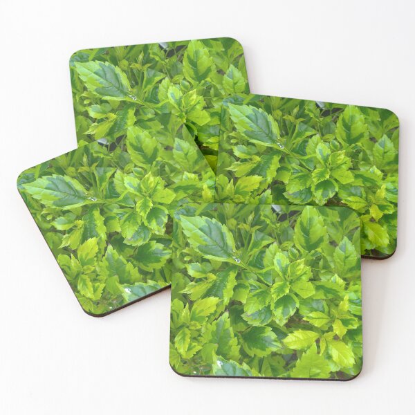 Aperçu de l'œuvre Plantes à feuilles vertes et jaunes créée et vendue par Sinemathk.