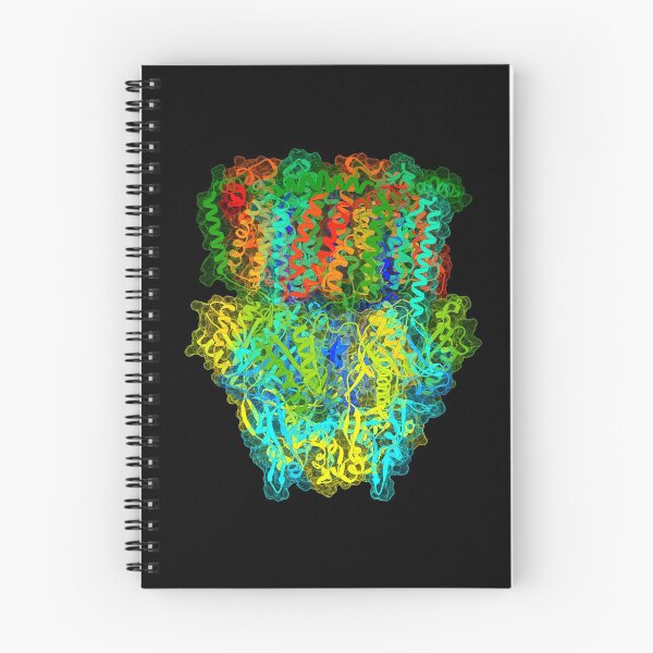 Item preview, AcrB Efflux Pump designed and sold by 3D Biology.