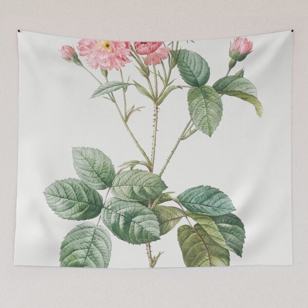 Item preview, Les Roses by Pierre-Joseph Redouté designed and sold by EsotericBotanic.