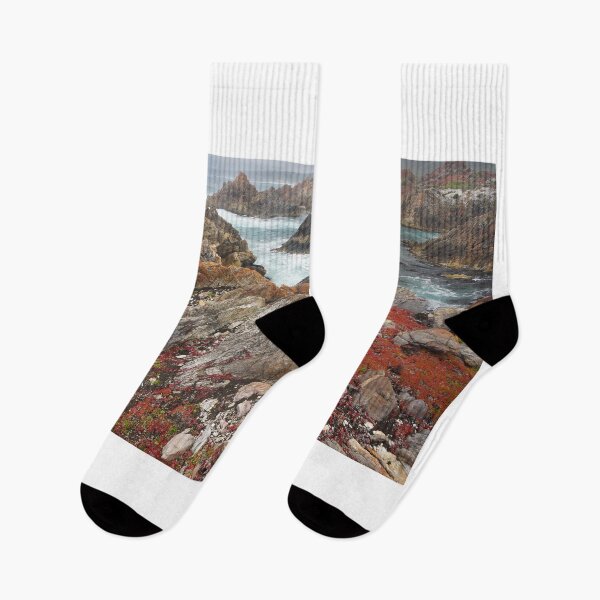 Item preview, Tarkine Coast, Tasmania, Australia designed and sold by Kevin McGennan.