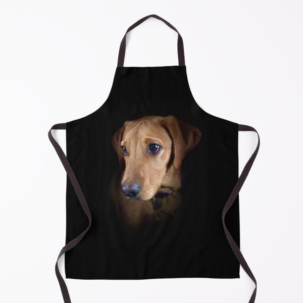 Item preview, Dexter the Fox Red Labrador designed and sold by DexterFRL.