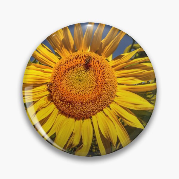 Item preview, Sunflower designed and sold by Zs Photo.