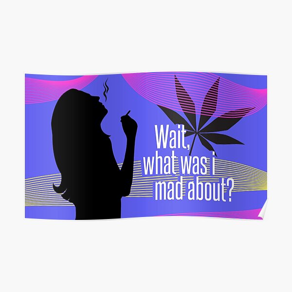 "Wait, what was I mad about?" Poster
