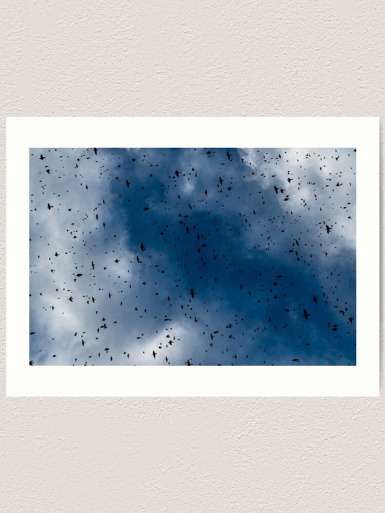 Alternate view of Hitchcock Art Print