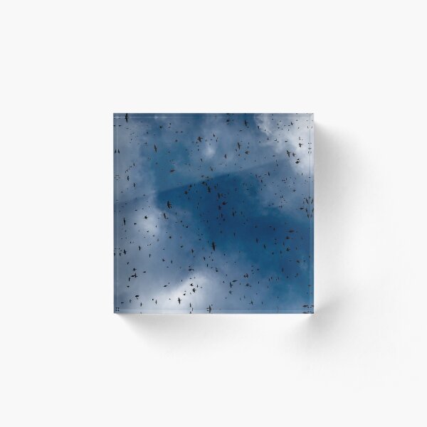 Hitchcock Acrylic Block