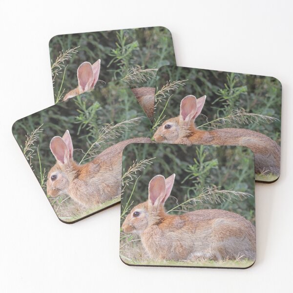 Item preview, Bunny Rabbit designed and sold by Doug Cliff.